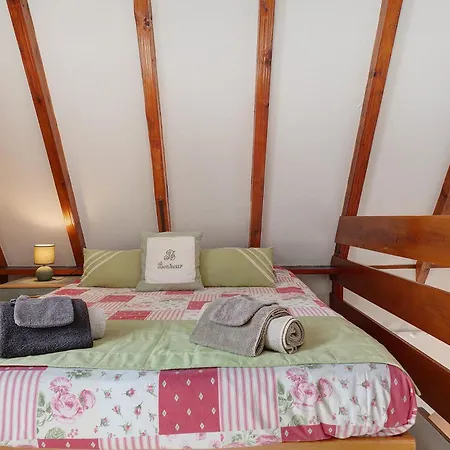 Pinot Gris N°2 A Holiday home *
